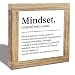 Mindset Desk Decor for Office Workspace Entrepreneurs – Motivational Wood Sign for Desktop Shelf, Inspirational Success Mindset Gift for Women Men Coworkers