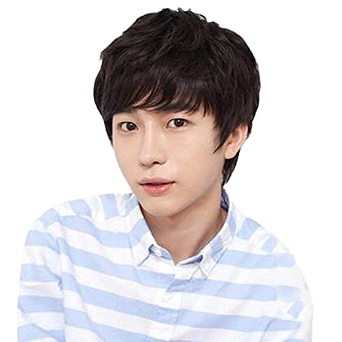 Ｊ＆Ｓ 人毛 手植え メンズ ウィッグ 父の日 カジュアル