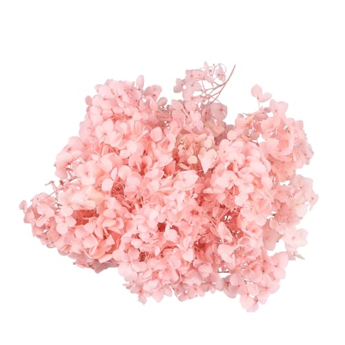 Pétalos secos naturales para arte de uñas y decoración miniatura 1