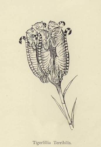 Cuadro en lienzo decorativo 60x90cm de Edward Lear Tigerlillia Terribilis para pared de oficina