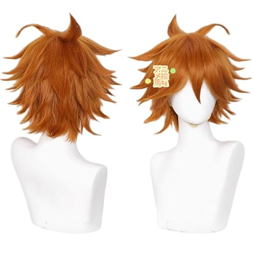 WIG AjGn gWj[ RXvEBbO  ϔM, \^, ΂ߑO, ӂ, p, EBbOlbgt