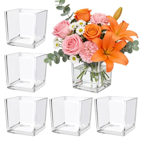 6 Pack Square Glass Vase 4 x 4 x 4 Clear Cube Vases for Centerpieces
