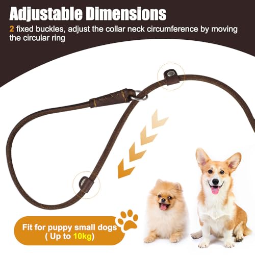 2-in-1 Hundeleine, 1,5m/5ft Leder Retrieverleine mit Zugstopp, Einstellbar Retriever Leinen mit Halsband für Hunde mit Gewicht von etwa bis 10 kg geeignet