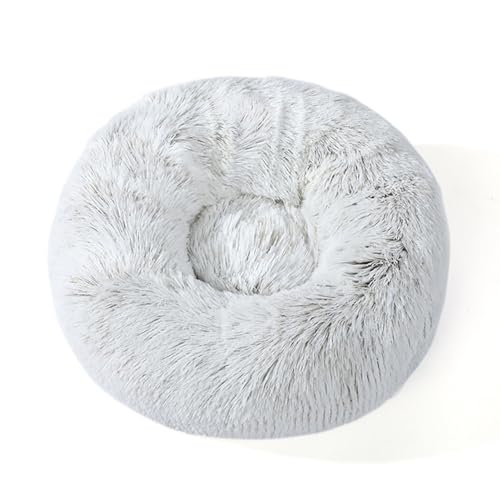 [ADSNS] ybgxbh ybgNbV ybg}bg ybg\t@ Eh^ 60 ی^ g ~ h ΍ 􂦂 Lp ^p ybgpi pxbh pNbV ^ Lp  ی^ Eh^ ybgpNbV