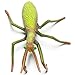 CollectA Insects Praying Mantis Toy Figure - Authentic Hand Painted Model