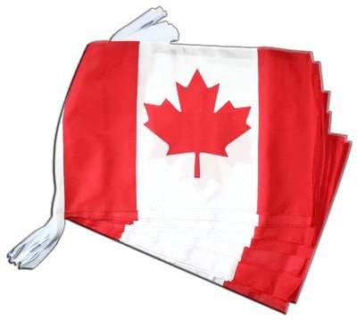 Guirlande Canada Digni géante de 8,9 mètres pour décoration de salle et jardin