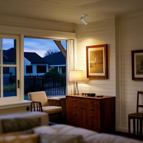 Image of LED Dimmable Ceiling Spotlight Indoor, Hardwire Directional Fixture