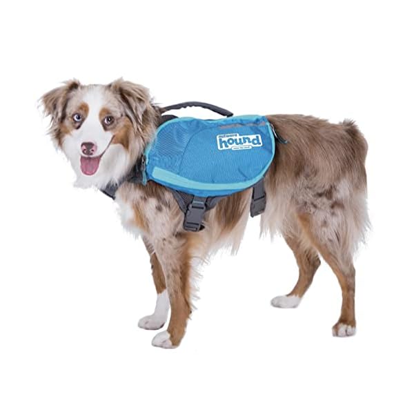 Outward-Hound-DayPak-Blue-Dog-Saddleback-Backpack-Medium Outward Hound DayPak Blue Dog Saddleback Backpack - Medium Size