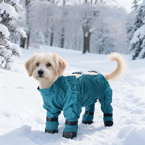 Chaussures pour chien avec manteau - Vêtements d'hiver imperméables - Pour neige et froid - Respirantes et chaudes - Avec bandes réfléchissantes - Protection des pattes pour la promenade (B, 2XL)