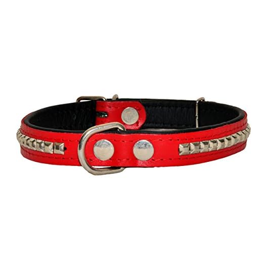 Studded Leather Collar with Soft Lining