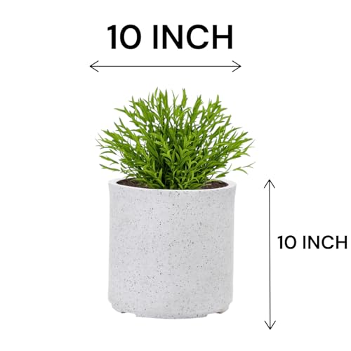 Image of GTB Cylinder German Polymer Pots for Plants Highly Durable Polymers Lightweight Indoor Outdoor Plant Pots, Flower Pot Gamla Tree Planter Container Planters(Plant not Included) (White Marble, 10 inch)