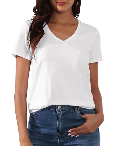 PALINDA Women's Classic Fit T Shirts Short Sleeve V Neck Casual Tee Shirt Summer Tops