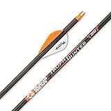 Guide Gear Trophy 31-Inch Carbon Archery Hunting Arrows, 500 Spine Practice Target Arrow for Compound and Recurve Bow by Victory Archery, 6 Pack, 400