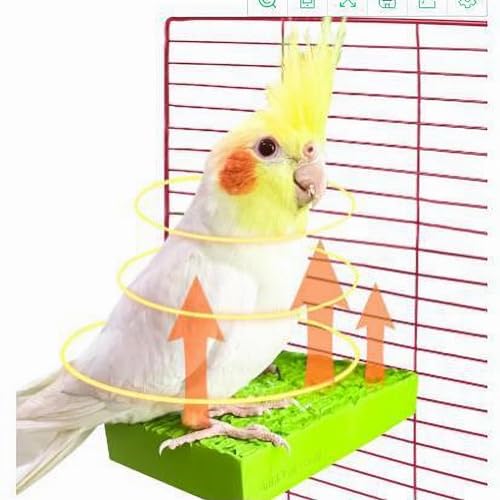 Image of Bird Cage Heater, Warm Bird Perch Stand, Eco-friendly Resin Bird Heating Plate, Snuggle Up Bird Warmer for Parrot Birds, Hamsters, Hedgehog,Totoro-12V 5W 3.3 inchx 6.1 inch