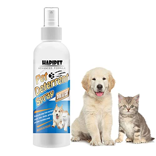 Amazon Best Sellers Best Cat Repellents Sprays