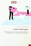 Lievin-Balengou: Etude prospective en vue du renforcement du partenariat de coopération décentralisée