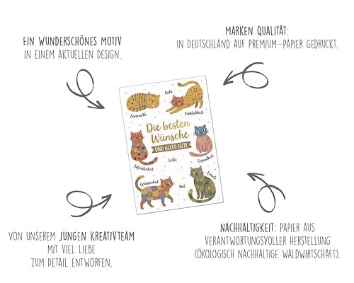 Edition Seidel Premium Glückwunschkarte zum Geburtstag mit Umschlag. Grußkarte Karte Geburtstagskarte für Mann Frau Kind Spruch Beste Wünsche Katze Tier (G3863 SW026)