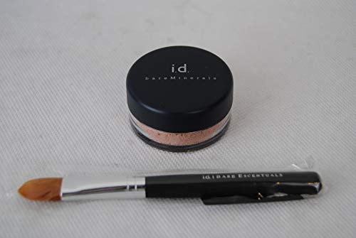 bareMinerals SPF 20 Bisque Concealer & Concealer Brush