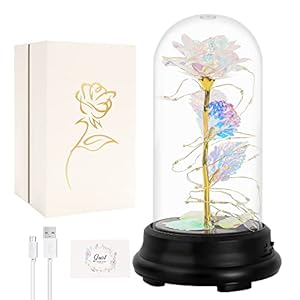 N&T NIETING Rose Flower Gifts for Mom, Mothers Day Gifts for Her, Birthday Gifts for Women, Gifts for Women, Light Up Glass Rose Gifts for Girlfriend Wife, Mother’s Day Gift