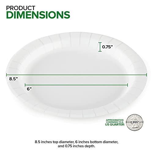 8.5 Inch Coated Paper Plates, Heavy Duty, Disposable Large Deep Dish Plate Bulk For Dinner, Lunch, Summer Bbqs, Dessert, Pantry Stock, Medium Weight, Microwave Safe, Strong (125 Pack) #TOP2