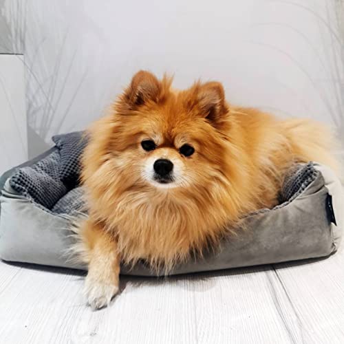 4L Textil Hundebett große Hunde Grau Hundebett abwaschbar Hundekorb große Hunde Hundekissen XL Hundekörbchen flauschig Hundesofa (120x100 cm, Dunkelgrau)