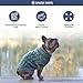 Spark Paws Strickpullover für Hunde – Weicher, Warmer Winterpullover für kleine, mittelgroße und große Hunde – Pullover für Französische Bulldoggen, Pitbulls, Hündinnen und Rüden, (Pine Green,3XL)
