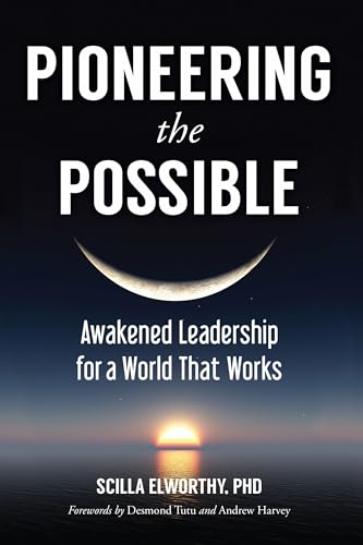 Pioneering the Possible: Awakened Leadership for a World That Works (Sacred Activism)