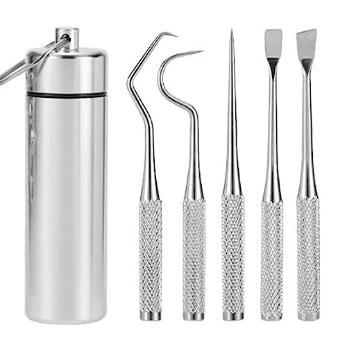 Bafnsiji Edelstahl Zahnstocher Patrone Set, 5 Stück Zahnschaber Zahnstein Entfernung Reiniger, Wiederverwendbare Metall Zahnstocher, tragbare Zahnpflege-Kit