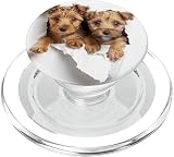 lakeland puppies uk Adorable surtido de animales: enamórate del irresistible encanto de los animales bebés que se asoman desde un fondo blanco prístino, mostrando sus entrañables personalidades en cada diseño.