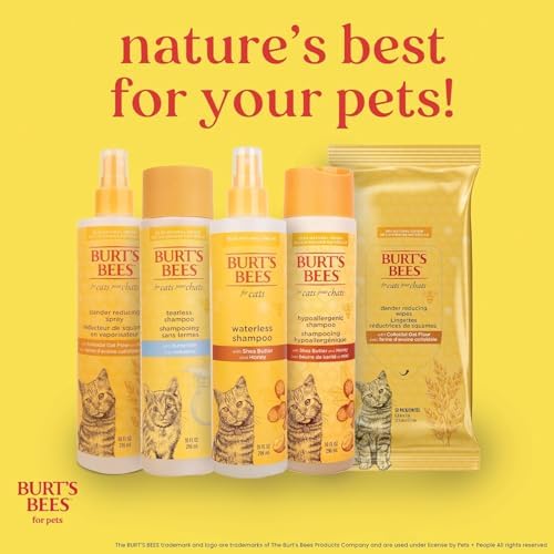 Burt's Bees for Pets for Cats Waterless Shampoo with Apple & Honey, Cats (FF7297) 10