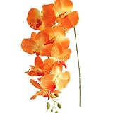 jiumengya 5pcs Orange Color Moth Orchids Phalaenopsis Orchid Orchid 8 Heads/Piece for Wedding Decora