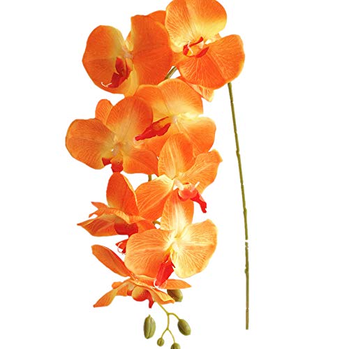 Jiumengya 5Pcs Orange Color Moth Orchids Phalaenopsis Orchid Orchid 8 Heads/Piece For Wedding Decorative Artificial Flowers (Orange) #TOP9