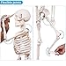 breesky Scientifc Human Skeleton Model for Anatomy, 33.4’’ Skeleton Model with Metal Stand, Removable Arms&Legs for Student to Study Human Skeleton Anatomy System, Halloween Decor, Manual Included