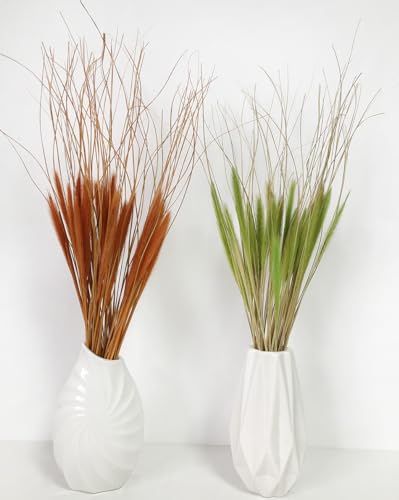 Dried Wolf Tails Grass Natural Bunny Tail Grass Lagurus Ovatus miniatura 6