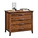 Sauder Carson Forge 2 Drawer Lateral File Cabinet, Rustic Vintage Style Filing Drawers, in Washington Cherry