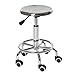 Taburete de Acero Inoxidable, Taburete Giratorio de Laboratorio Escolar Taburete Elevador de polea for el hogar Taburetes de Bar fáciles de Limpiar Plateados