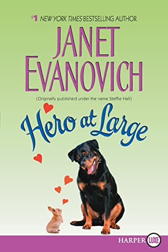 Hero at Large view 2