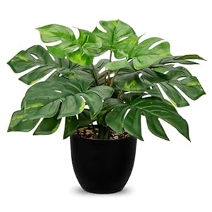 Hollyone 37CM Artificial Monstera Plant Indoor, Decorative Tropical Fake Plants – Aesthetic Room Décor Plants for Bedroom Office Home Desk Decorations