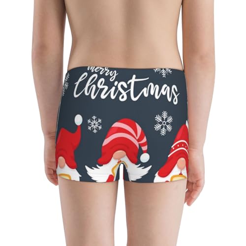 Boys' Cotton Boxer Brief Soft Underwear-Three Cute Christmas Gnomes3
