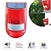 Produktbild Qweidown Solar Alarmleuchte,SolarAlarm,Stroboskoplicht,Blinklicht,16 LEDs, wasserdicht,Alarm Lampen mit Bewegungssensor für Zuhause, Villa, Bauernhof, Wohnung und Garten, Wie