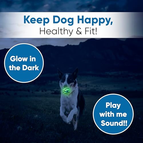 SIKARAAM Giggle Dog Ball, Glow in The Dark Interactive Chew Giggle Ball Funny Sounds - Image 2
