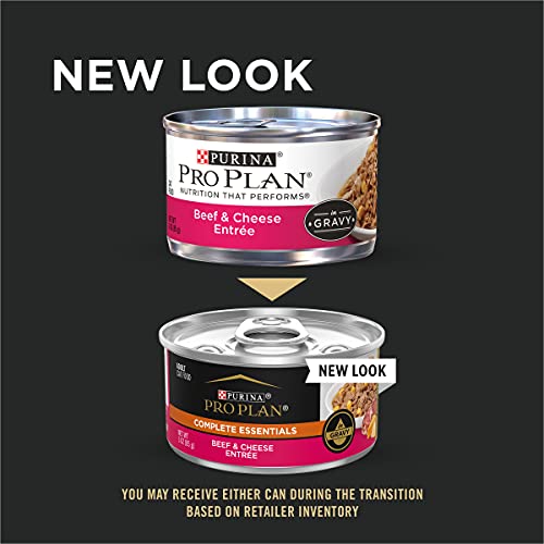 Purina Pro Plan High Protein Wet Cat Food in Gravy, Beef and Cheese