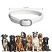 Pets4Luv Flohhalsband für Hunde, natürliche Floh- und Zeckenhalsbänder für Hunde, 8 Monate Schutz, Einheitsgröße für alle Hunde, verstellbares wasserdichtes Design, 3 Stück…