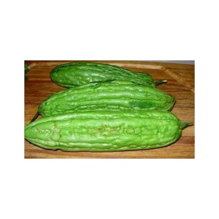 Amazon Com Chinese Bitter Melon Green Skin Seeds Foo Gwa By Stonysoil Seed Company Garden Outdoor
