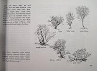 Awakening to Landscape B004RIH3H4 Book Cover