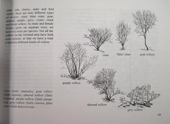 Paperback Awakening to Landscape Book