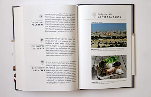 Biblia Reina Valera 1960 Tamaño grande, letra grande. Tapa dura / RVR 1960 Holy Bible in Spanish. La