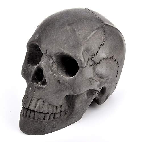 Hollow Eye Sockets Myard Human Skull Fire Gas Log for NG, LP Wood Fireplace, Firepit, Campfire, Home Decor, BBQ (Qty 1, Black)