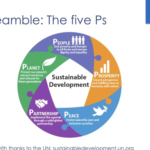 Sustainable Development Goals (SDGs) And Disability - Part 1 Podcast Por  arte de portada