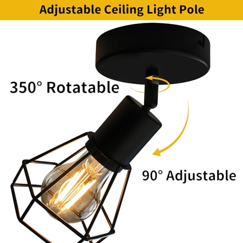 Hibay HB22067 Led Track Lighting Fixture, 1-Light Adjustable Spot Light Ceiling Wall Mount, Black Geometric Metal Cage Industrial Spotlight Fixtures thumb #1